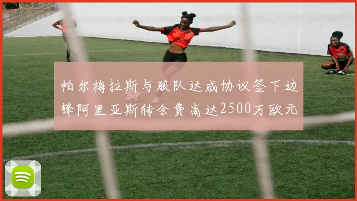 帕尔梅拉斯与狼队达成协议签下边锋阿里亚斯转会费高达2500万欧元