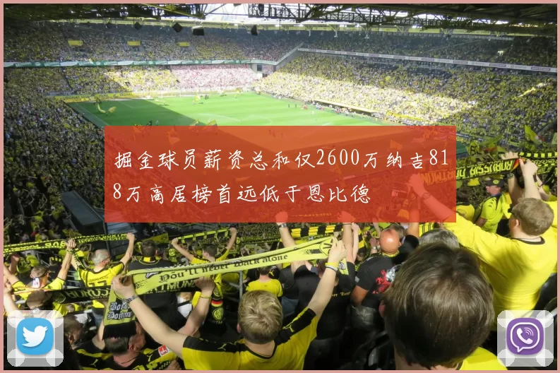 掘金球员薪资总和仅2600万纳吉818万高居榜首远低于恩比德